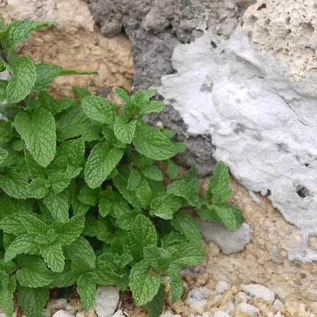 Eco Holidays Cave House Justine 그라나딜라데아보나